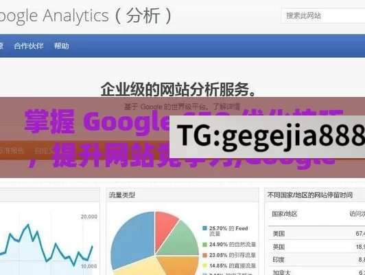 掌握 Google SEO 优化技巧，提升网站竞争力,Google SEO如何优化网站，提升排名的终极指南