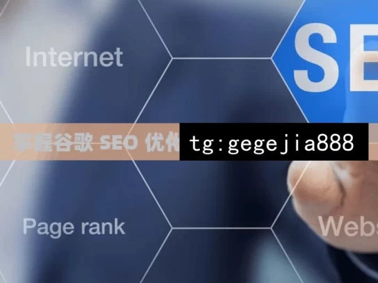 掌握谷歌 SEO 优化技巧，提升网站排名，掌握谷歌 SEO 优化，提升网站排名之道