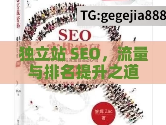 独立站 SEO，流量与排名提升之道