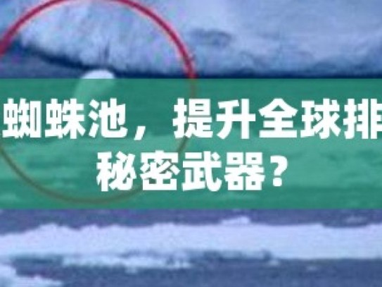 谷歌蜘蛛池，提升全球排名的秘密武器？