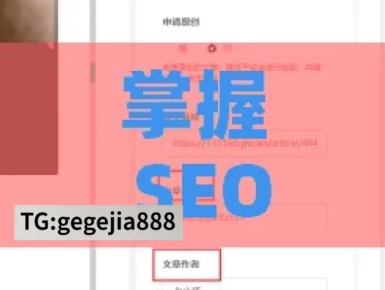 掌握 SEO 优化技巧，提升网站排名与流量，掌握 SEO 优化技巧实现网站腾飞