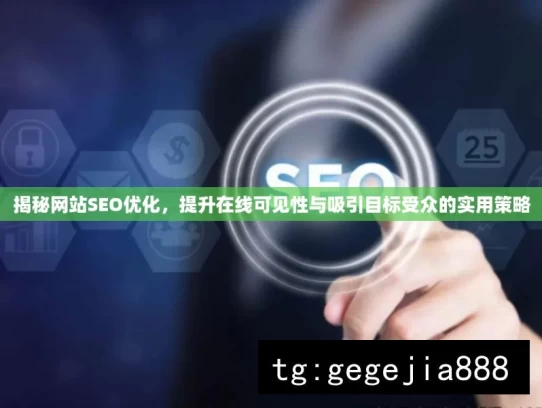 揭秘网站SEO优化，提升在线可见性与吸引目标受众的实用策略，揭秘网站 SEO 优化实用策略