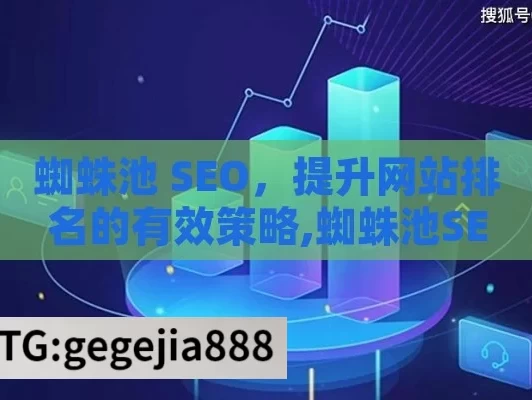 蜘蛛池 SEO，提升网站排名的有效策略,蜘蛛池SEO，提升网站可见性的秘密武器