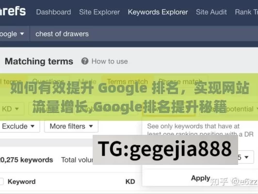 如何有效提升 Google 排名，实现网站流量增长,Google排名提升秘籍