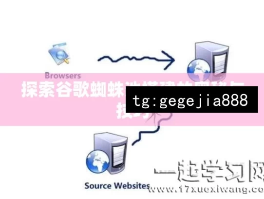 探索谷歌蜘蛛池搭建的奥秘与技巧，探索谷歌蜘蛛池搭建之奥秘技巧