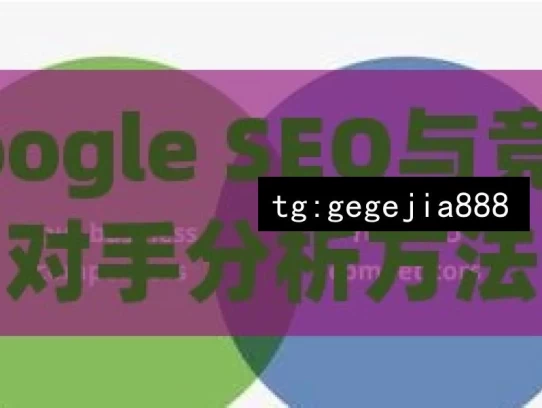 Google SEO与竞争对手分析方法，Google SEO 及竞争对手分析之道