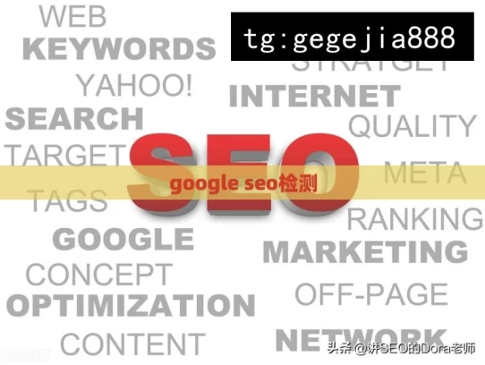 google seo检测，Google SEO 检测的要点解析