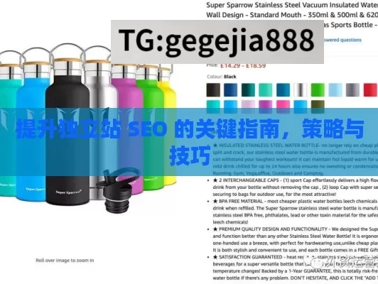 提升独立站 SEO 的关键指南，策略与技巧