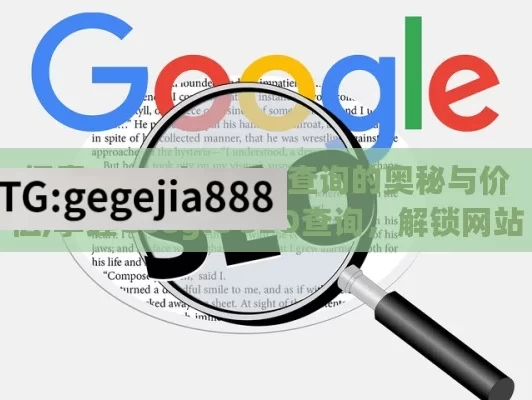 探索 Google SEO 查询的奥秘与价值,掌握Google SEO查询，解锁网站流量密码！