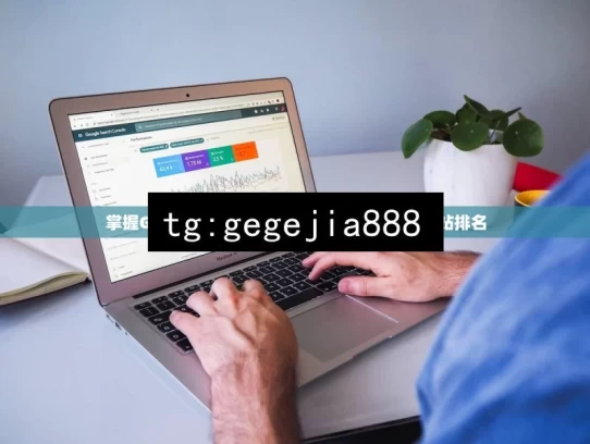 掌握Google SEO的精髓，一步步提升你的网站排名，掌握 Google SEO 精髓，提升网站排名