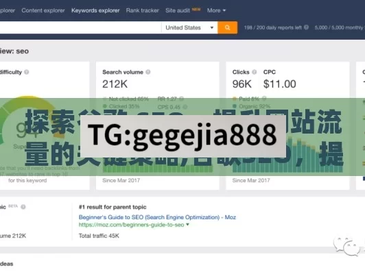 探索谷歌 SEO，提升网站流量的关键策略,谷歌SEO，提升在线可见性的关键策略