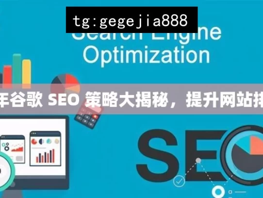 2024 年谷歌 SEO 策略大揭秘，提升网站排名秘籍，2024 年谷歌 SEO 策略全揭秘