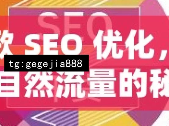 谷歌 SEO 优化，提升自然流量的秘诀，谷歌 SEO 优化秘诀