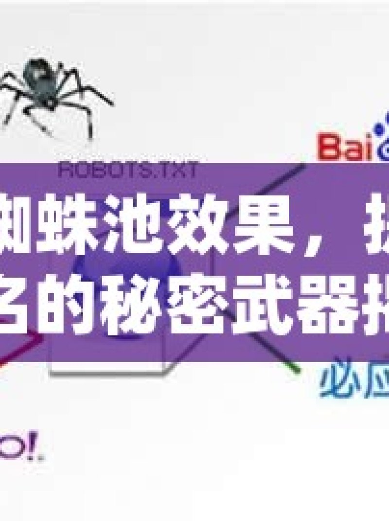 谷歌蜘蛛池效果，提升网站排名的秘密武器揭秘谷歌蜘蛛池搭建，提升网站SEO效果的秘诀 - 