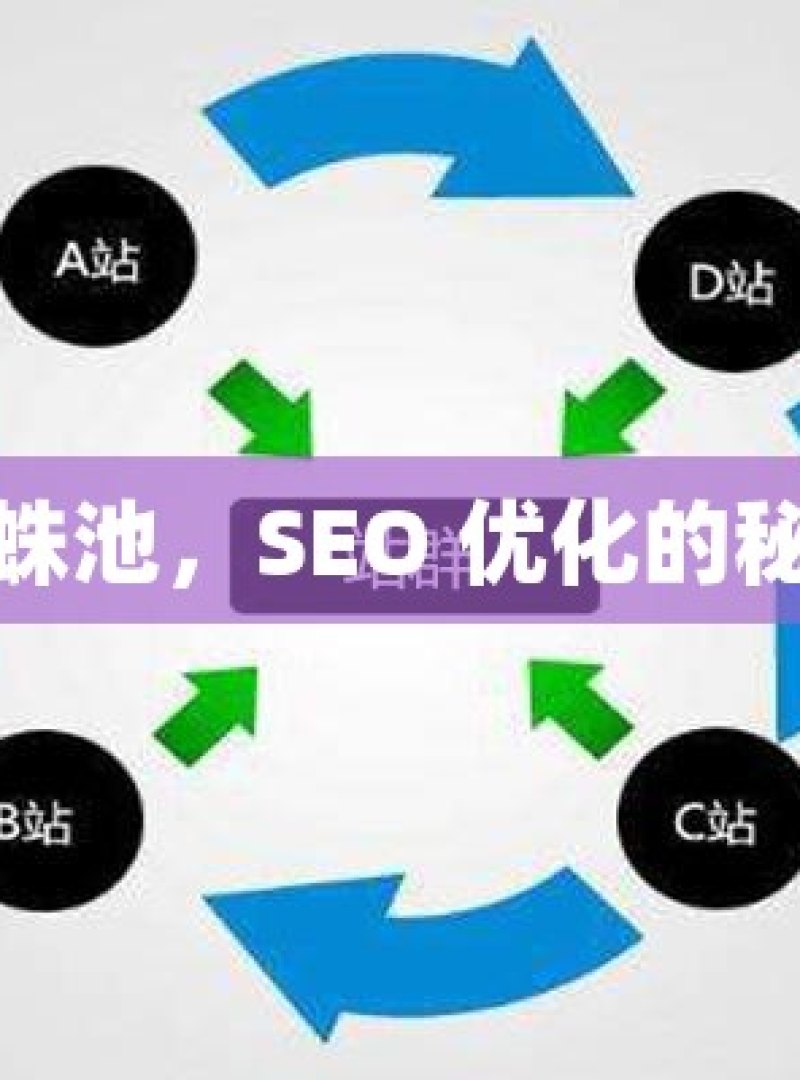 谷歌蜘蛛池，SEO 优化的秘密武器 - 