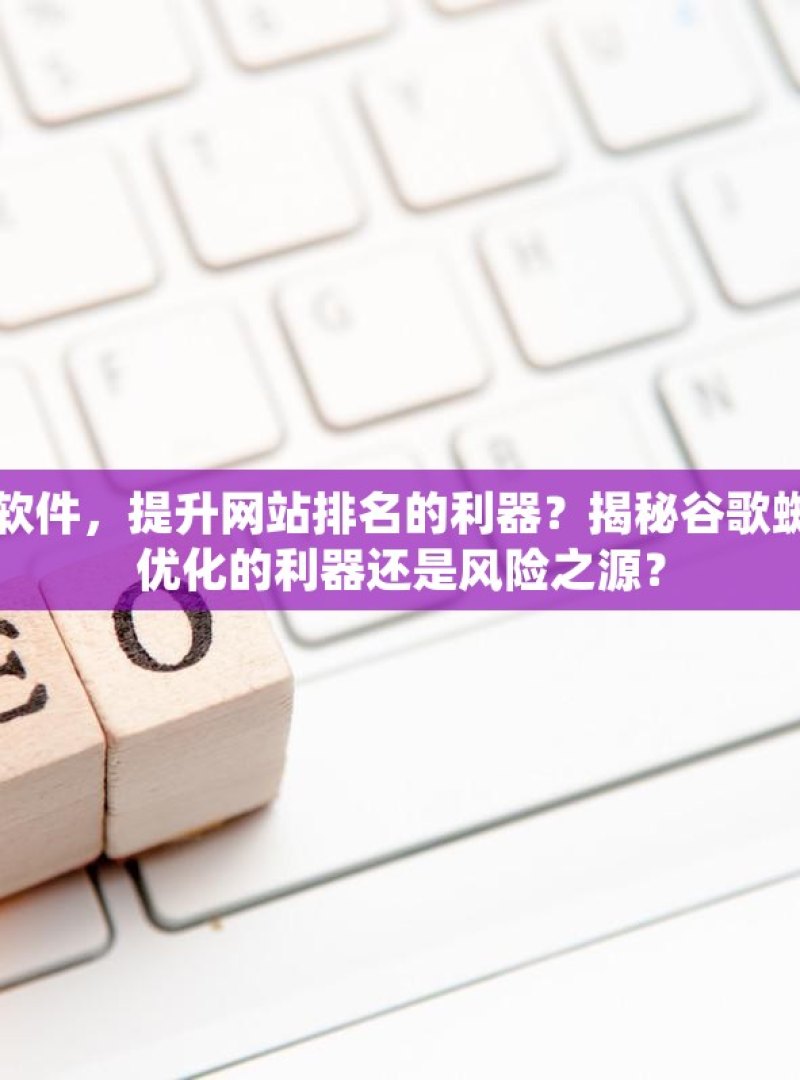 探索谷歌蜘蛛池软件，提升网站排名的利器？揭秘谷歌蜘蛛池软件，SEO优化的利器还是风险之源？