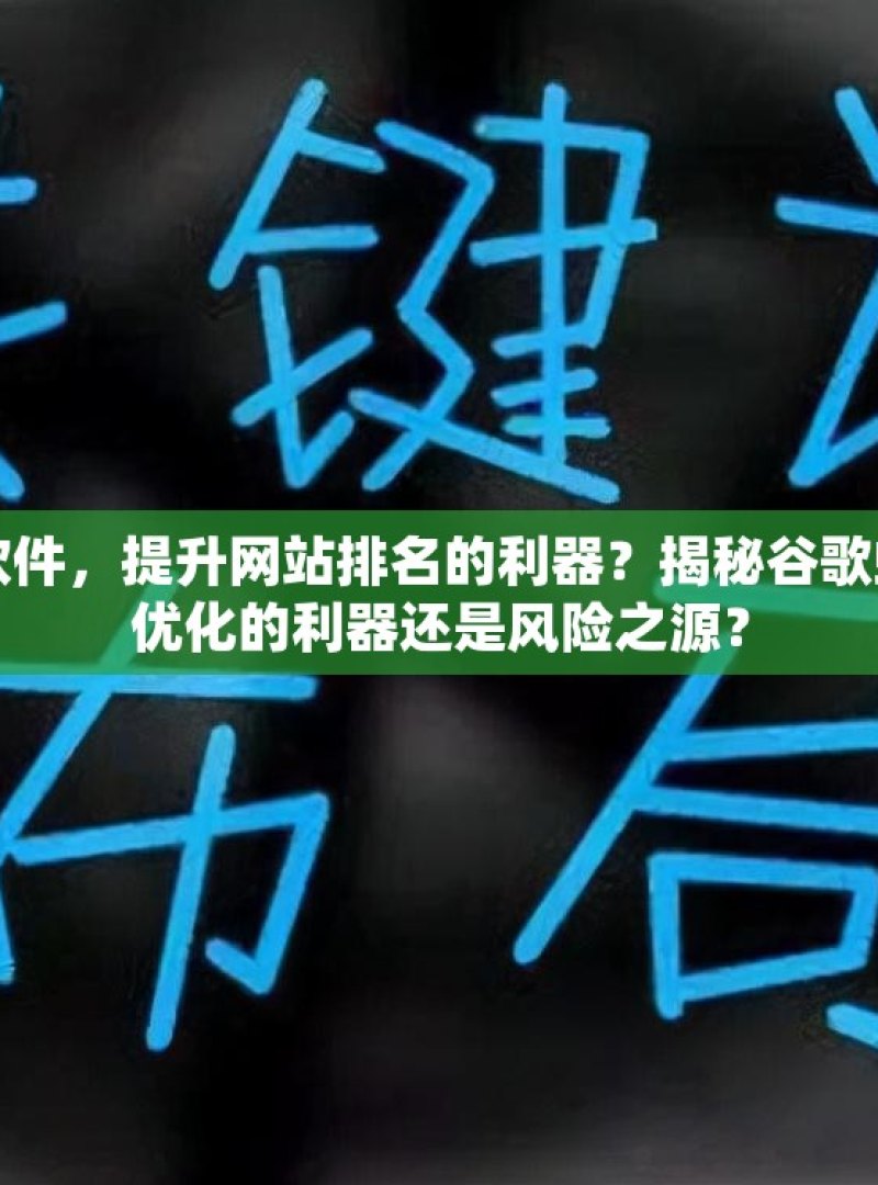 探索谷歌蜘蛛池软件，提升网站排名的利器？揭秘谷歌蜘蛛池软件，SEO优化的利器还是风险之源？