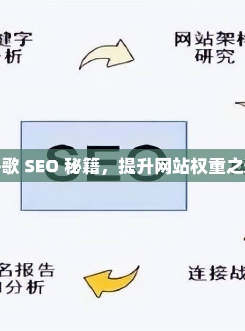 谷歌 SEO 秘籍，提升网站权重之道