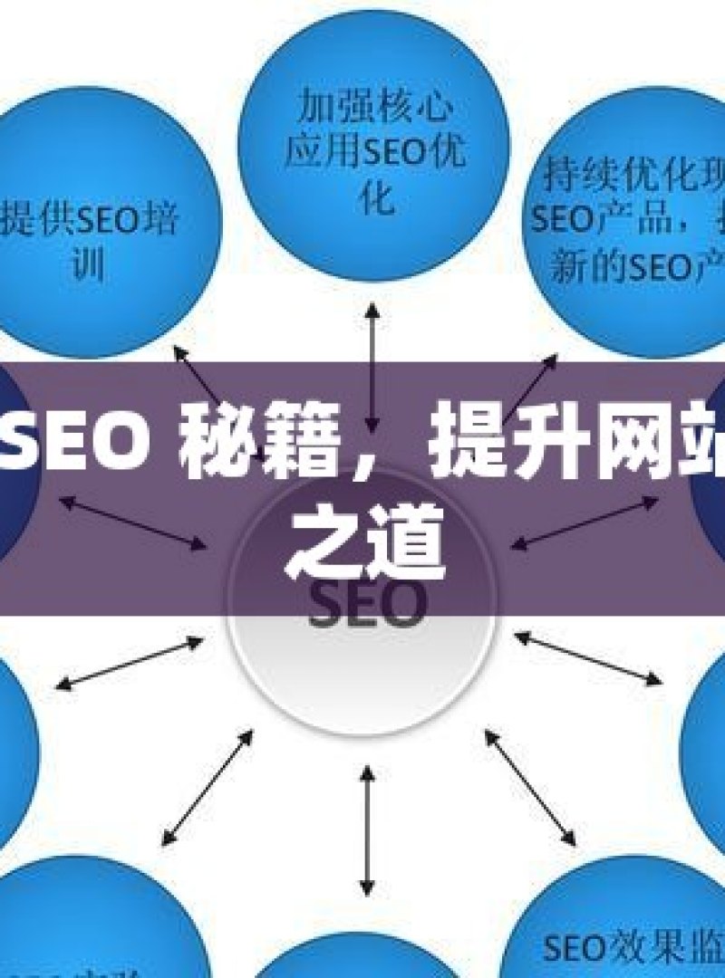 谷歌 SEO 秘籍，提升网站权重之道