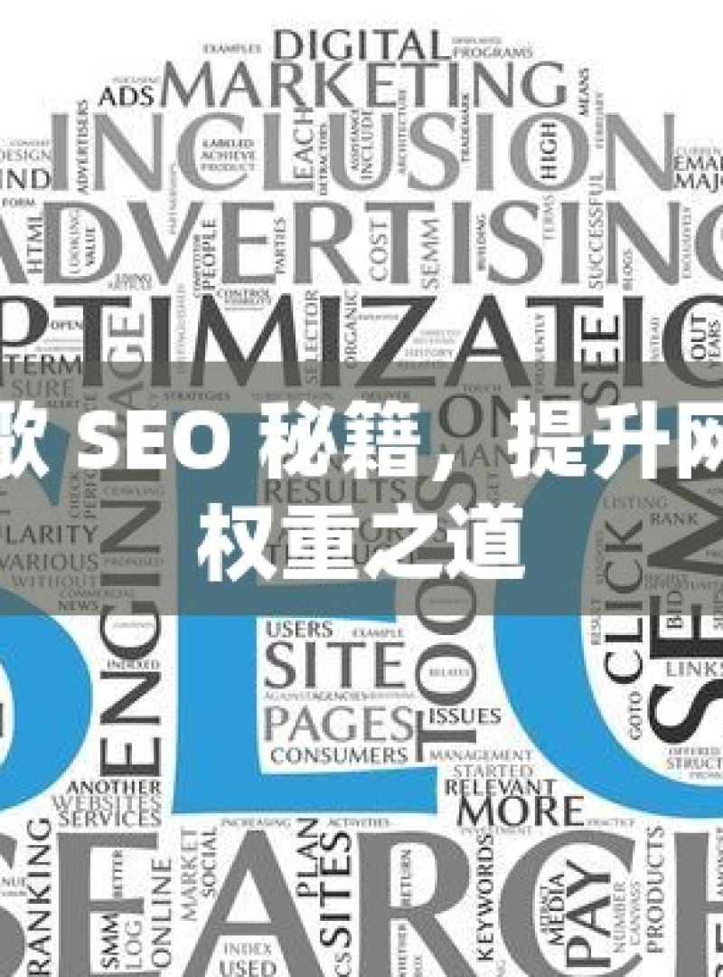 谷歌 SEO 秘籍，提升网站权重之道