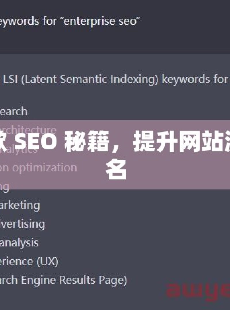 掌握谷歌 SEO 秘籍，提升网站流量与排名