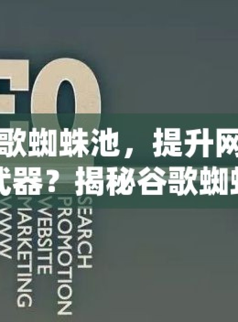 揭秘谷歌蜘蛛池，提升网站排名的神秘武器？揭秘谷歌蜘蛛池，搜索引擎优化的隐藏利器