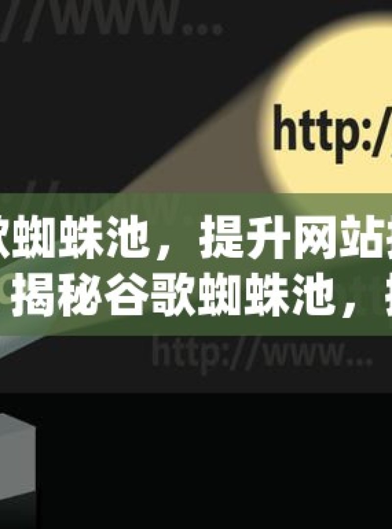 揭秘谷歌蜘蛛池，提升网站排名的神秘武器？揭秘谷歌蜘蛛池，搜索引擎优化的隐藏利器