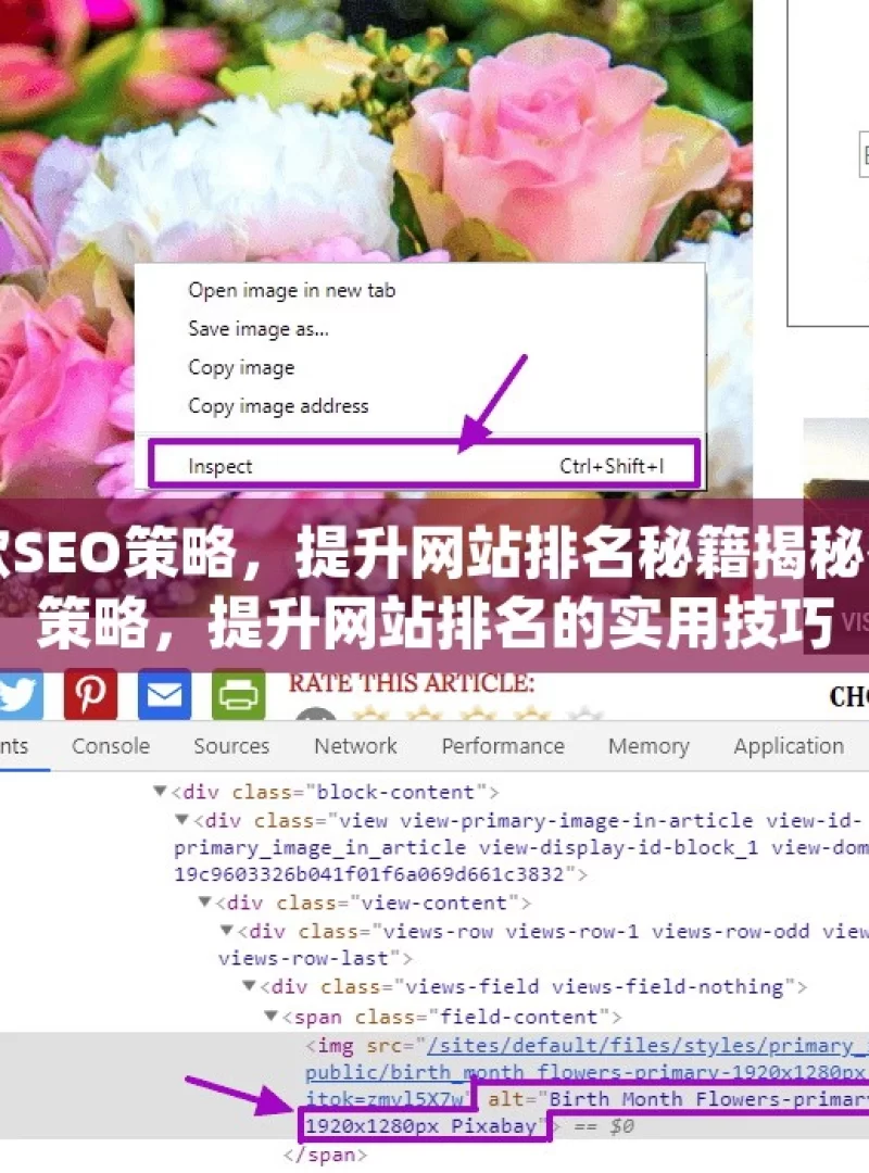 掌握谷歌SEO策略，提升网站排名秘籍揭秘谷歌SEO策略，提升网站排名的实用技巧