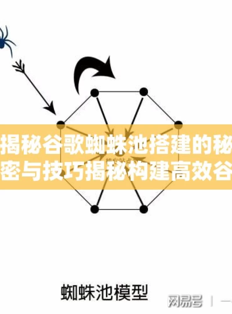 揭秘谷歌蜘蛛池搭建的秘密与技巧揭秘构建高效谷歌蜘蛛池的终极指南