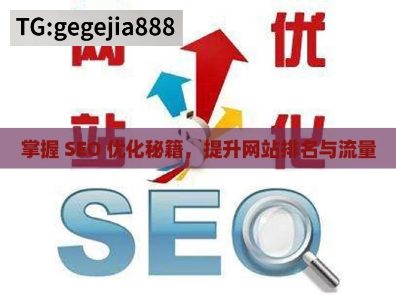 掌握 SEO 优化秘籍，提升网站排名与流量