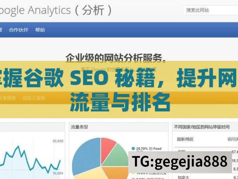 掌握谷歌 SEO 秘籍，提升网站流量与排名