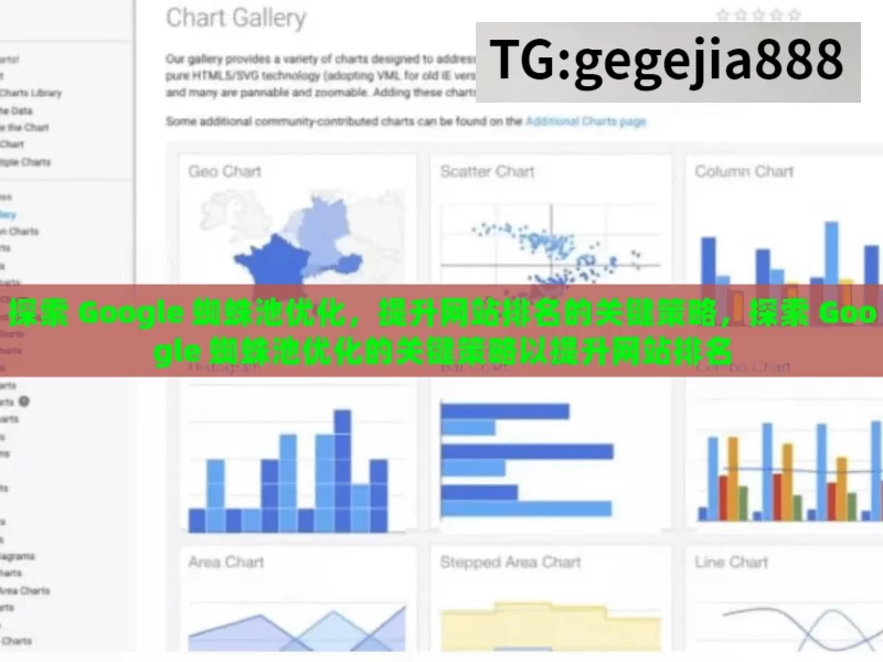 探索 Google 蜘蛛池优化，提升网站排名的关键策略，探索 Google 蜘蛛池优化的关键策略以提升网站排名