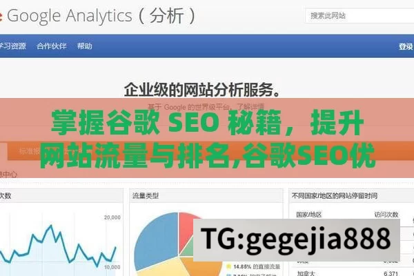 掌握谷歌 SEO 秘籍，提升网站流量与排名,谷歌SEO优化全攻略