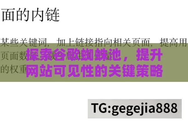 探索谷歌蜘蛛池，提升网站可见性的关键策略,谷歌蜘蛛池，网络爬虫的神秘力量