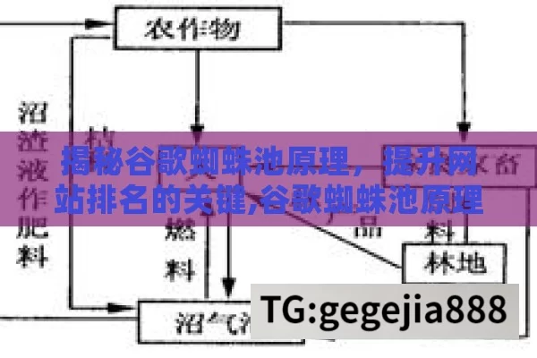 揭秘谷歌蜘蛛池原理，提升网站排名的关键,谷歌蜘蛛池原理解析