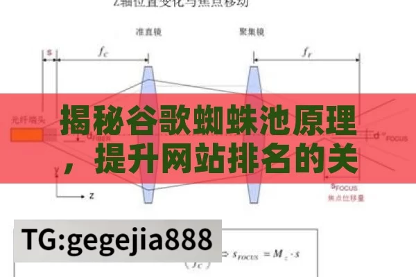 揭秘谷歌蜘蛛池原理，提升网站排名的关键,谷歌蜘蛛池原理解析