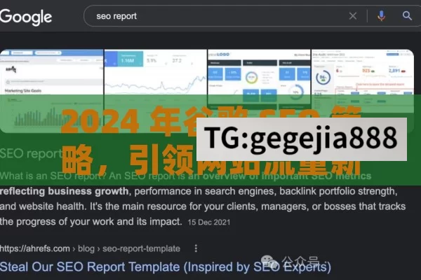 2024 年谷歌 SEO 策略，引领网站流量新潮流,2024年谷歌SEO新策略
