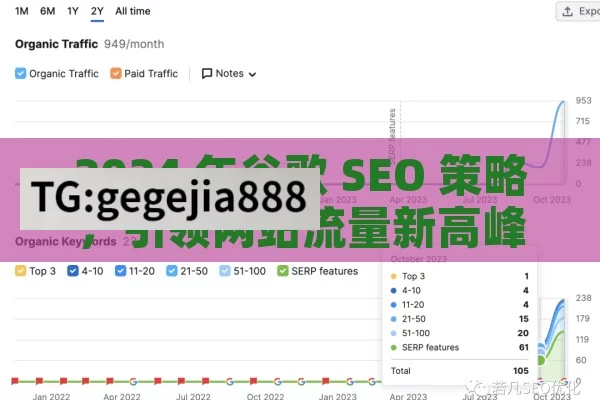 2024 年谷歌 SEO 策略，引领网站流量新高峰,2024年最新谷歌SEO策略揭秘