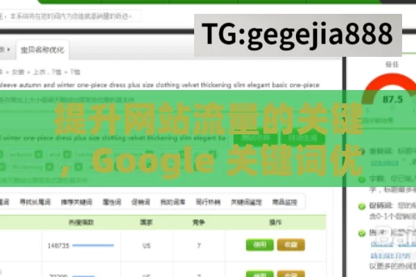 提升网站流量的关键，Google 关键词优化策略,掌握Google关键词优化技巧