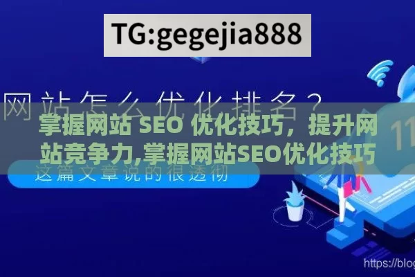 掌握网站 SEO 优化技巧，提升网站竞争力,掌握网站SEO优化技巧