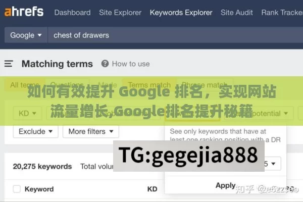 如何有效提升 Google 排名，实现网站流量增长,Google排名提升秘籍