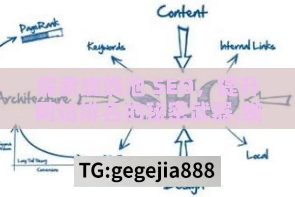 探索蜘蛛池 SEO，提升网站排名的秘密武器,蜘蛛池SEO，提升网站排名的秘诀