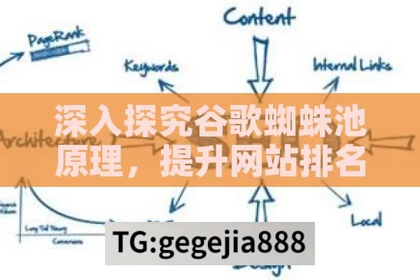 深入探究谷歌蜘蛛池原理，提升网站排名的关键,谷歌蜘蛛池揭秘