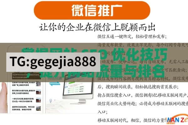 掌握网站 SEO 优化技巧，提升网站流量与排名,网站SEO优化技巧全解析