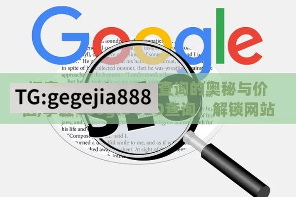 探索 Google SEO 查询的奥秘与价值,掌握Google SEO查询，解锁网站流量密码！