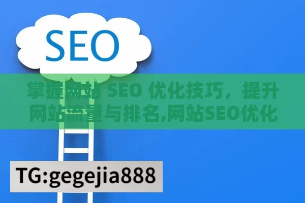 掌握网站 SEO 优化技巧，提升网站流量与排名,网站SEO优化技巧大揭秘