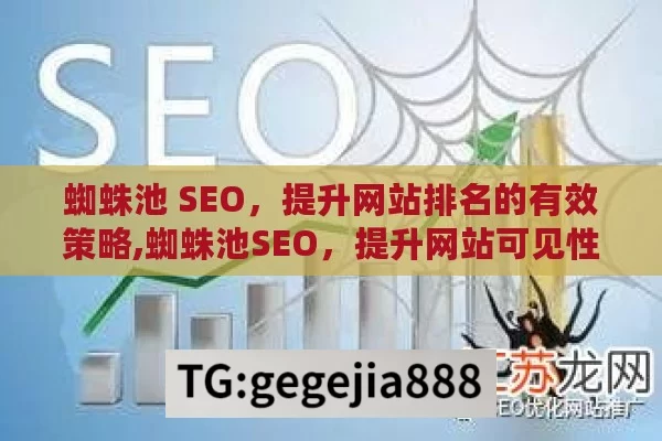 蜘蛛池 SEO，提升网站排名的有效策略,蜘蛛池SEO，提升网站可见性的秘密武器