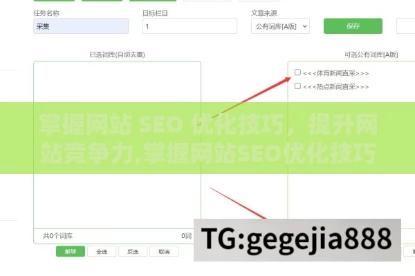 掌握网站 SEO 优化技巧，提升网站竞争力,掌握网站SEO优化技巧，提升搜索引擎排名