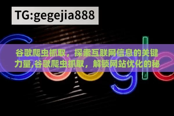 谷歌爬虫抓取，探索互联网信息的关键力量,谷歌爬虫抓取，解锁网站优化的秘密钥匙