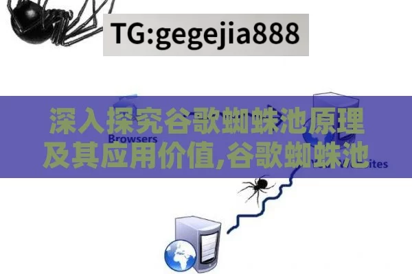 深入探究谷歌蜘蛛池原理及其应用价值,谷歌蜘蛛池原理揭秘